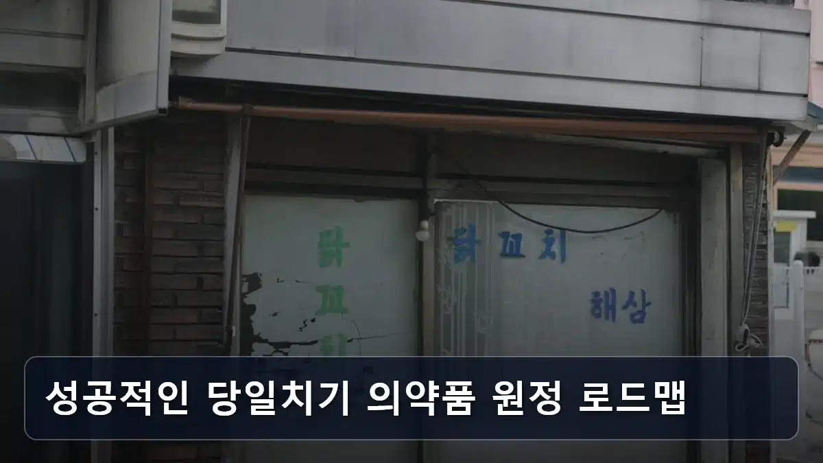 성공적인 당일치기 의약품 원정 로드맵 관련 이미지