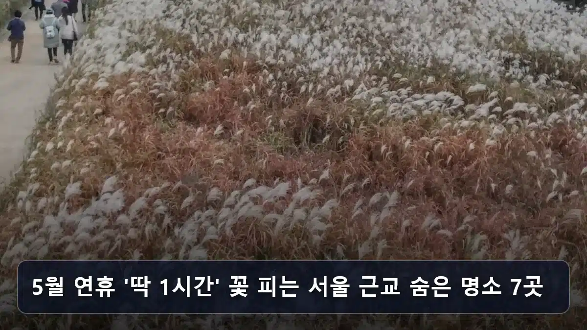 5월 연휴 '딱 1시간' 꽃 피는 서울 근교 숨은 명소 7곳 관련 이미지