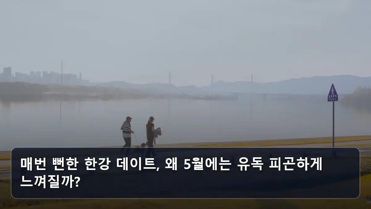 매번 뻔한 한강 데이트, 왜 5월에는 유독 피곤하게 느껴질까? 관련 이미지