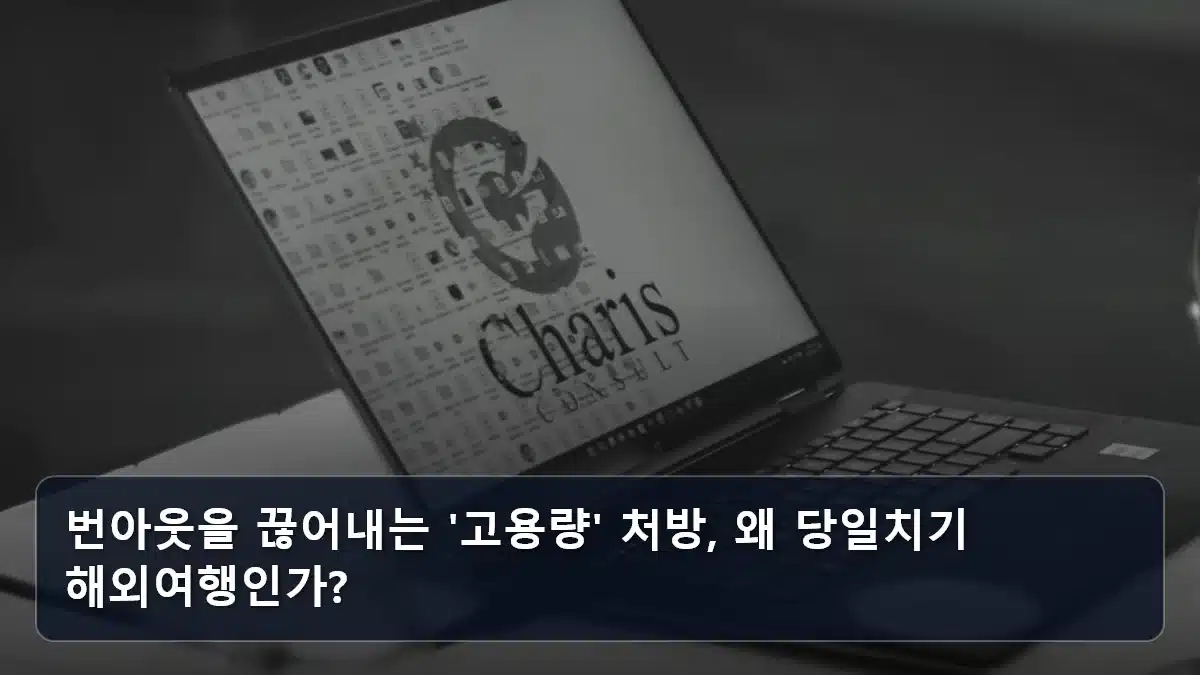 번아웃을 끊어내는 '고용량' 처방, 왜 당일치기 해외여행인가? 관련 이미지