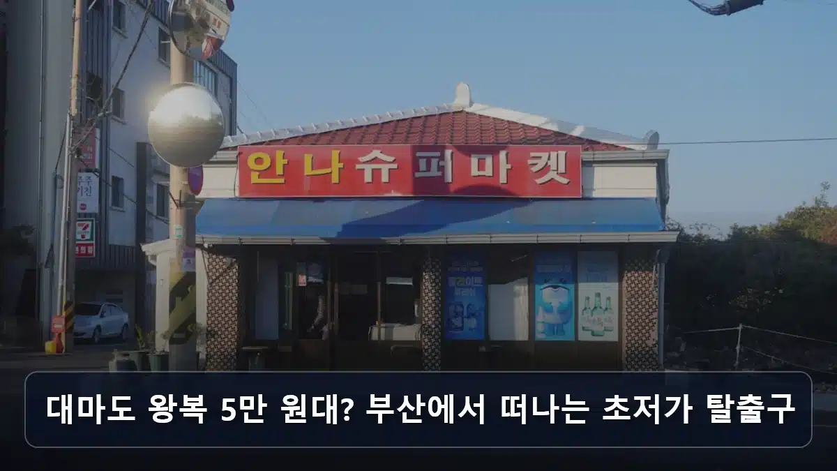 대마도 왕복 5만 원대? 부산에서 떠나는 초저가 탈출구 관련 이미지