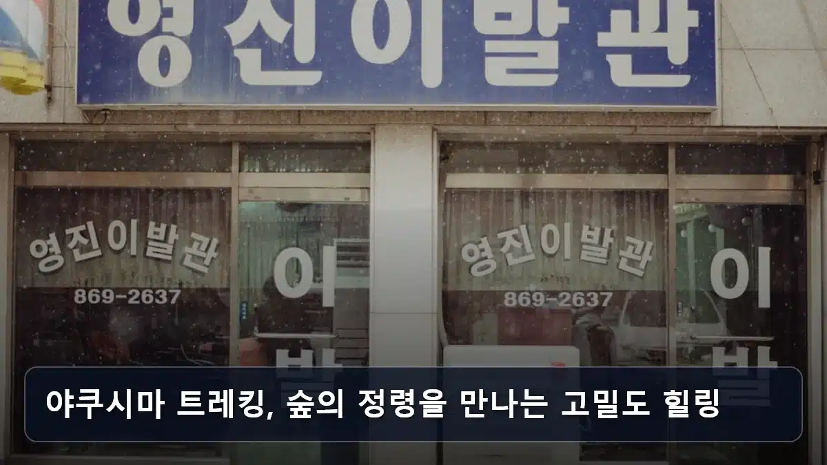 야쿠시마 트레킹, 숲의 정령을 만나는 고밀도 힐링 관련 이미지