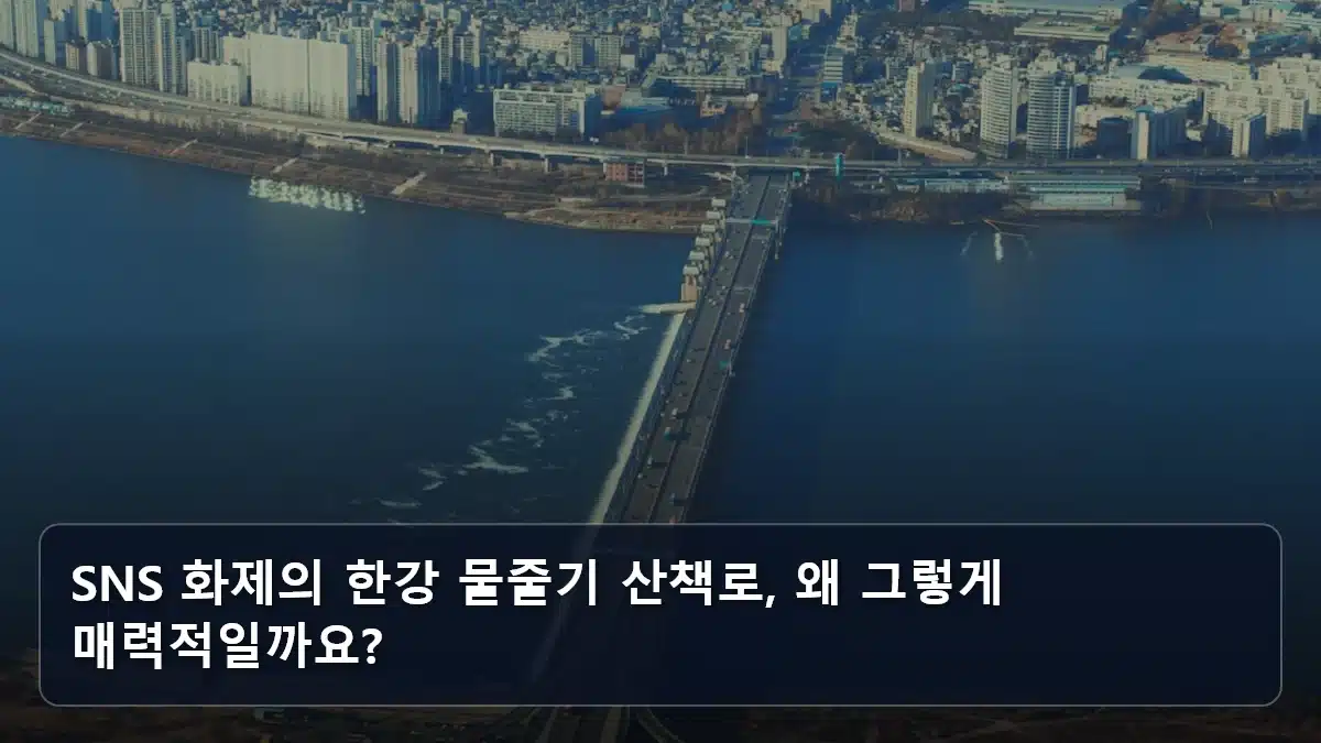 SNS 화제의 한강 물줄기 산책로, 왜 그렇게 매력적일까요? 관련 이미지