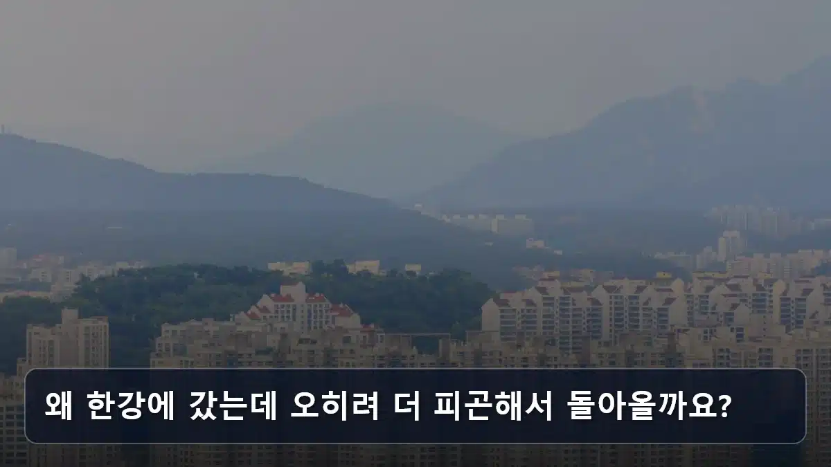 왜 한강에 갔는데 오히려 더 피곤해서 돌아올까요? 관련 이미지
