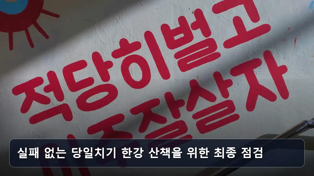 실패 없는 당일치기 한강 산책을 위한 최종 점검 관련 이미지
