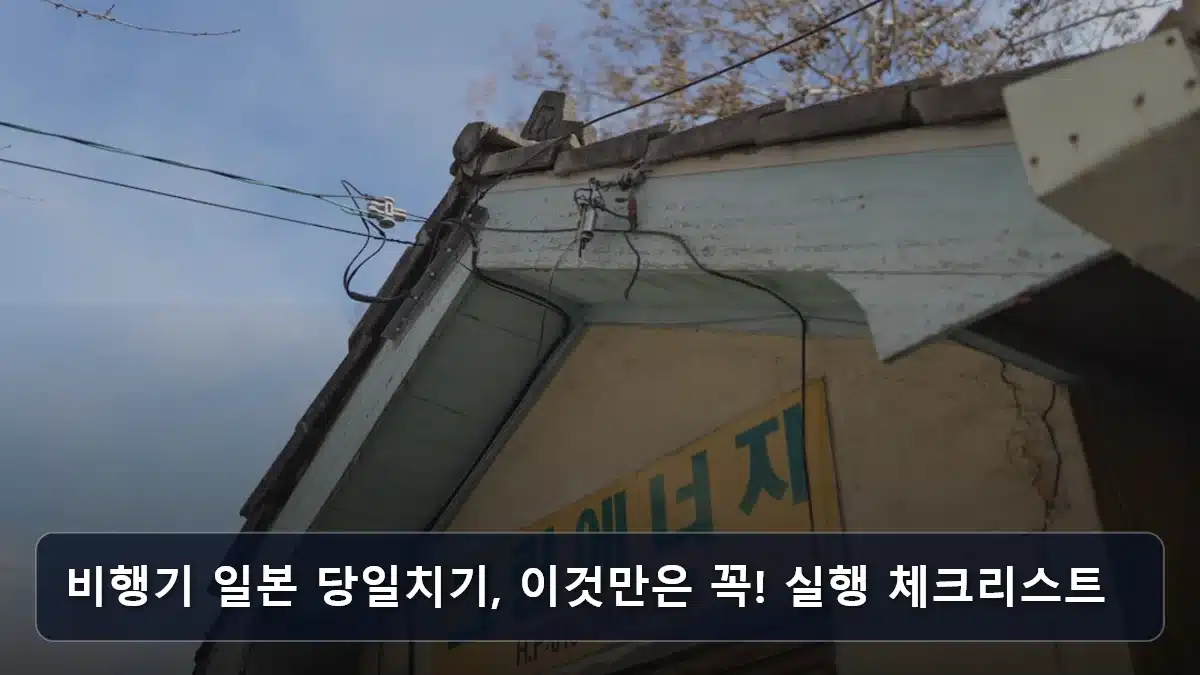 비행기 일본 당일치기, 이것만은 꼭! 실행 체크리스트 관련 이미지
