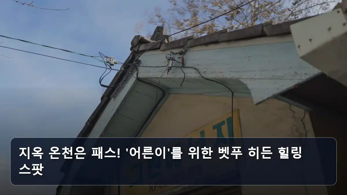 지옥 온천은 패스! '어른이'를 위한 벳푸 히든 힐링 스팟 관련 이미지