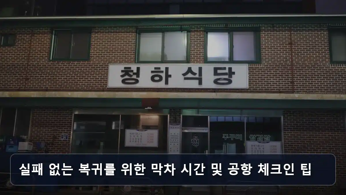 실패 없는 복귀를 위한 막차 시간 및 공항 체크인 팁 관련 이미지