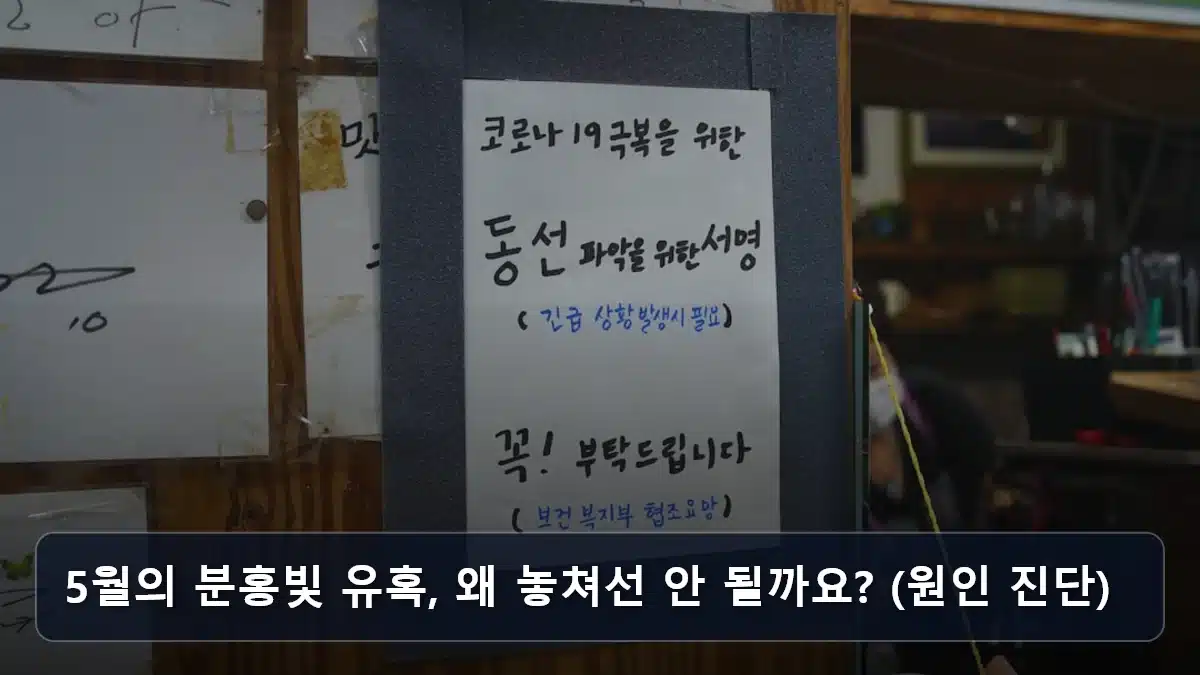 5월의 분홍빛 유혹, 왜 놓쳐선 안 될까요? (원인 진단) 관련 이미지