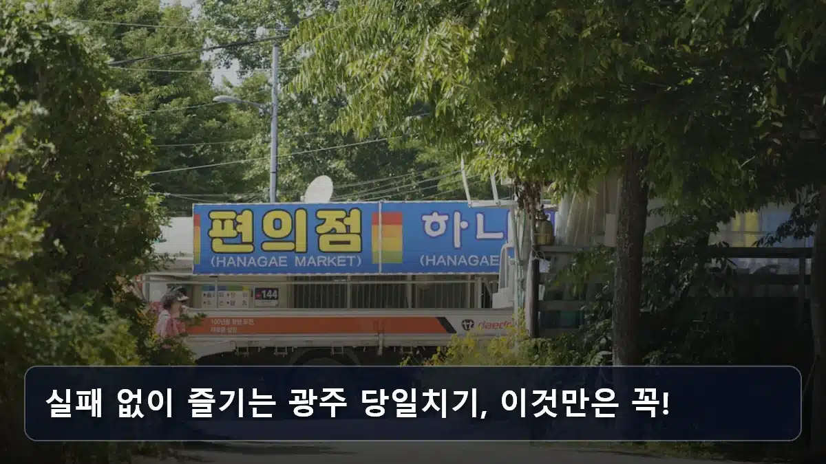 실패 없이 즐기는 광주 당일치기, 이것만은 꼭! 관련 이미지