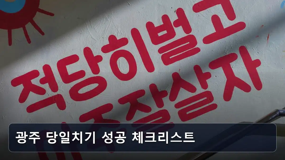광주 당일치기 성공 체크리스트 관련 이미지