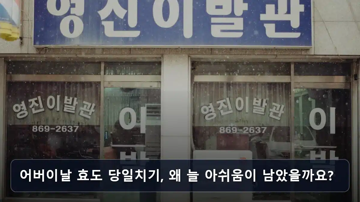 어버이날 효도 당일치기, 왜 늘 아쉬움이 남았을까요? 관련 이미지