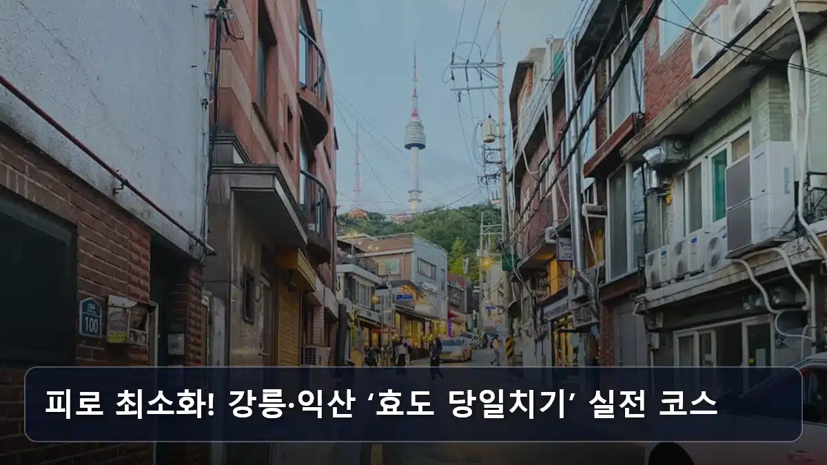 피로 최소화! 강릉·익산 ‘효도 당일치기’ 실전 코스 관련 이미지