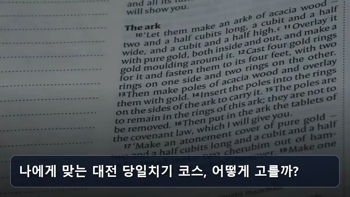 나에게 맞는 대전 당일치기 코스, 어떻게 고를까? 관련 이미지