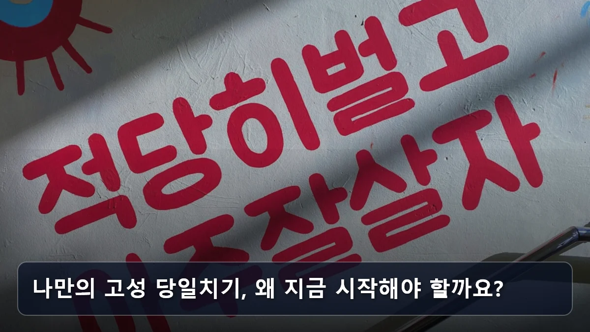 나만의 고성 당일치기, 왜 지금 시작해야 할까요? 관련 이미지