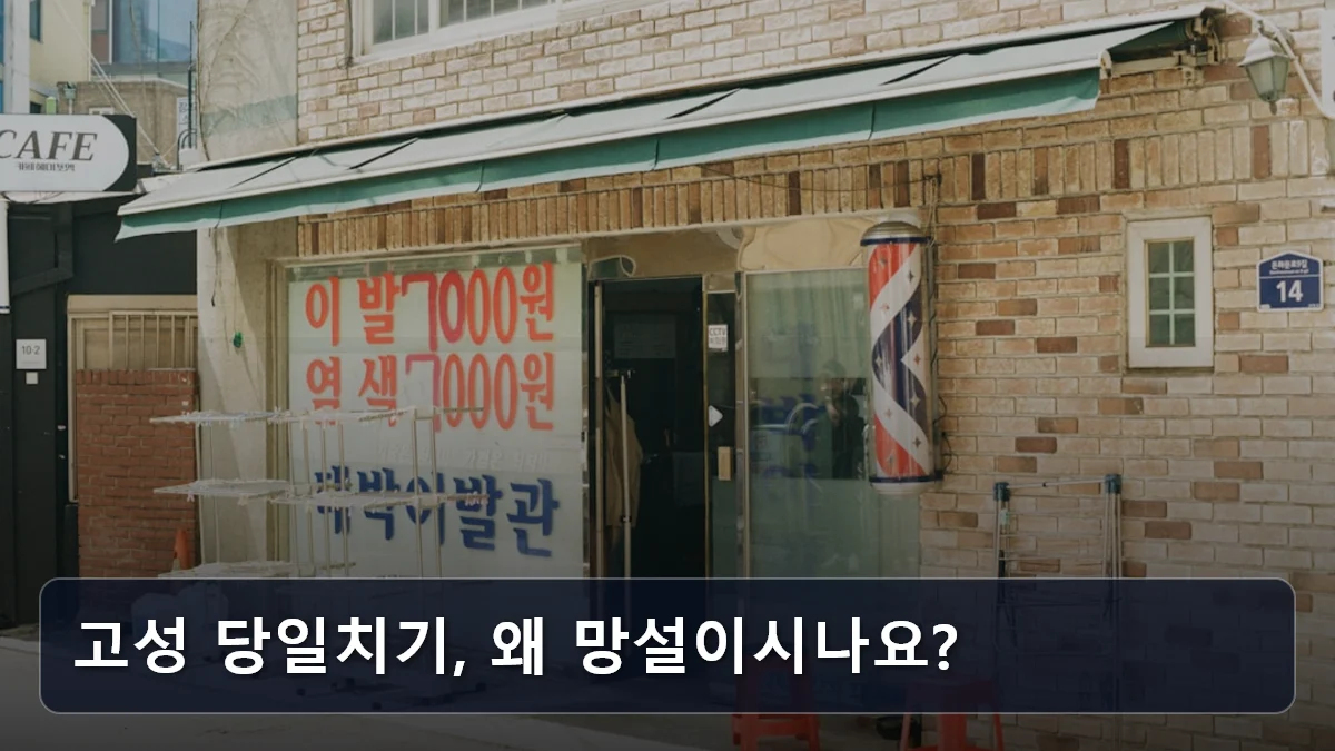 고성 당일치기, 왜 망설이시나요? 관련 이미지