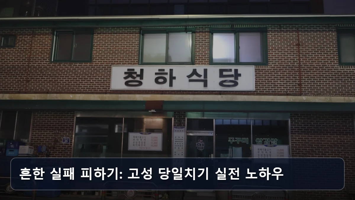 흔한 실패 피하기: 고성 당일치기 실전 노하우 관련 이미지