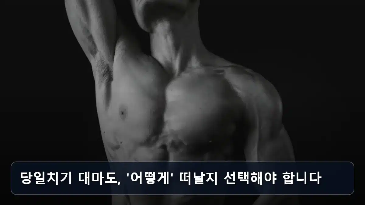 당일치기 대마도, '어떻게' 떠날지 선택해야 합니다 관련 이미지