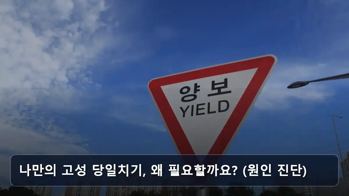 나만의 고성 당일치기, 왜 필요할까요? (원인 진단) 관련 이미지