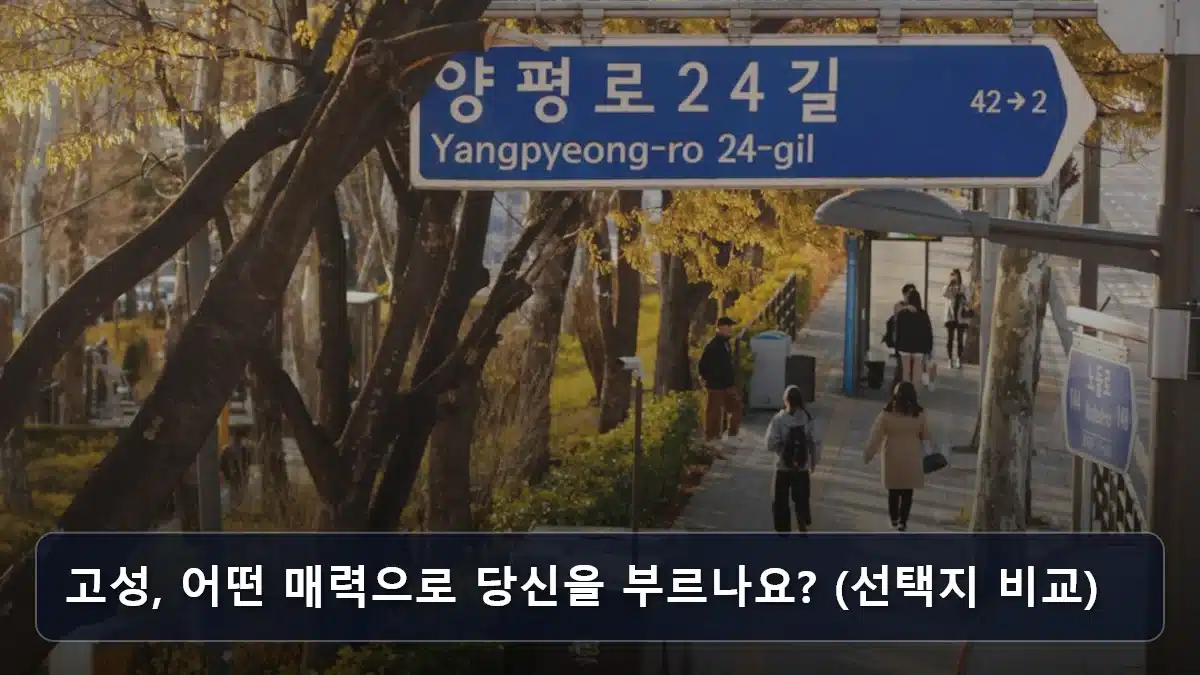 고성, 어떤 매력으로 당신을 부르나요? (선택지 비교) 관련 이미지