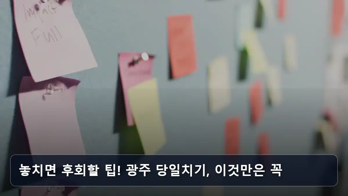 놓치면 후회할 팁! 광주 당일치기, 이것만은 꼭 관련 이미지
