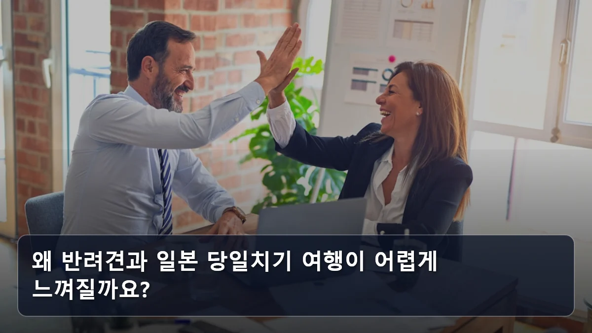 왜 반려견과 일본 당일치기 여행이 어렵게 느껴질까요? 관련 이미지