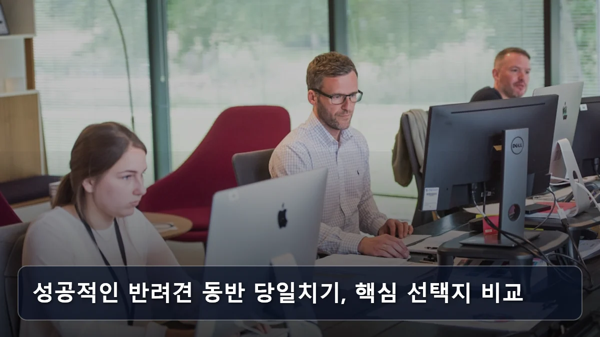 성공적인 반려견 동반 당일치기, 핵심 선택지 비교 관련 이미지