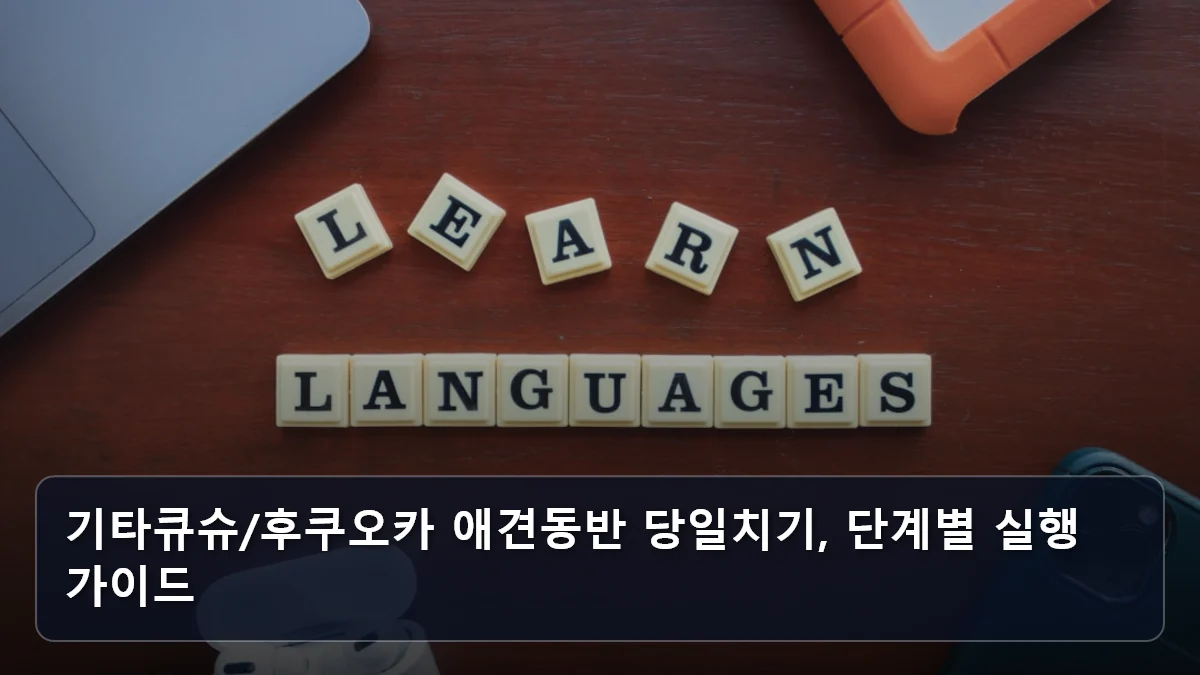 기타큐슈/후쿠오카 애견동반 당일치기, 단계별 실행 가이드 관련 이미지
