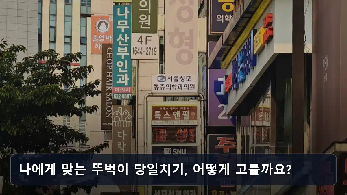 나에게 맞는 뚜벅이 당일치기, 어떻게 고를까요? 관련 이미지