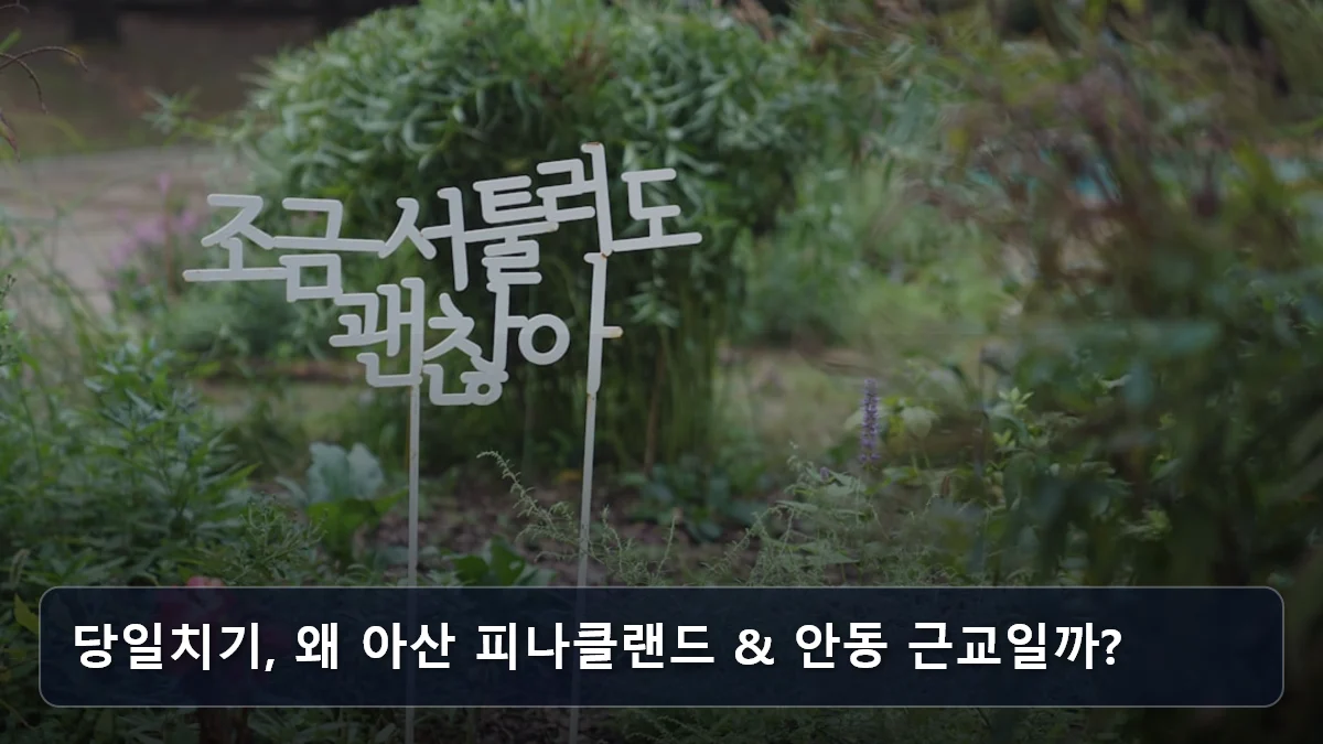 당일치기, 왜 아산 피나클랜드 & 안동 근교일까? 관련 이미지