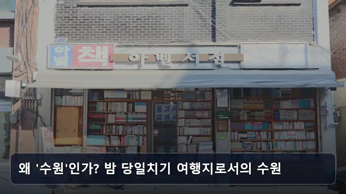 왜 '수원'인가? 밤 당일치기 여행지로서의 수원 관련 이미지