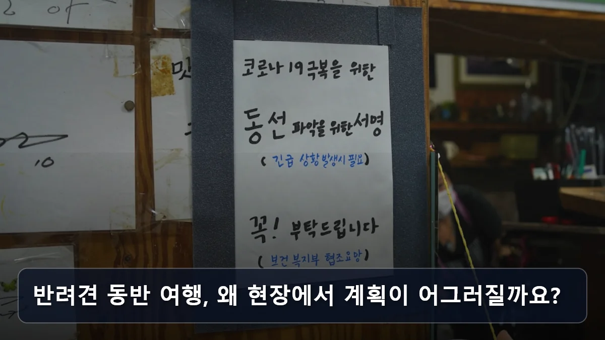 반려견 동반 여행, 왜 현장에서 계획이 어그러질까요? 관련 이미지