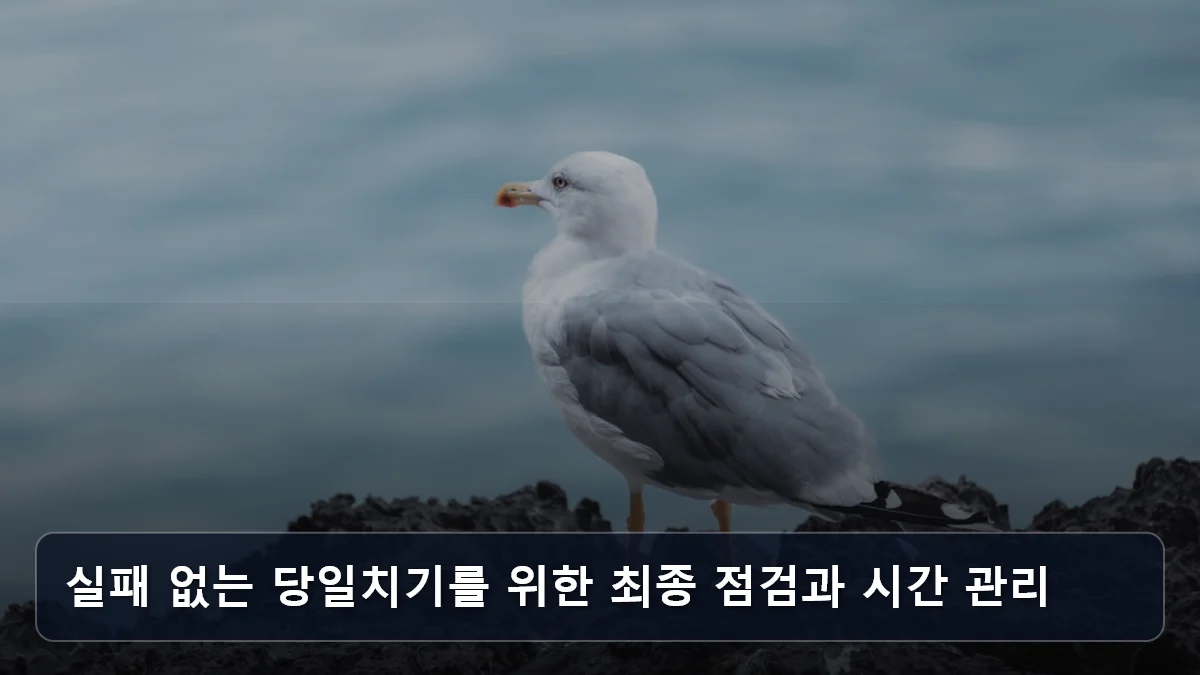 실패 없는 당일치기를 위한 최종 점검과 시간 관리 관련 이미지
